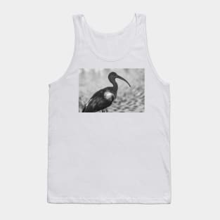 American white ibis   black and white 3 Tank Top